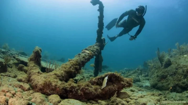 Dive into Adventure: Exploring South Florida’s Underwater Treasures with Gold Coast Scuba